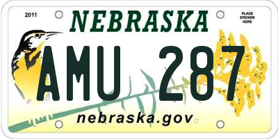 NE license plate AMU287