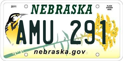 NE license plate AMU291