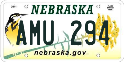 NE license plate AMU294