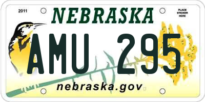 NE license plate AMU295