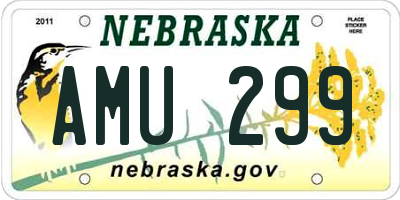 NE license plate AMU299