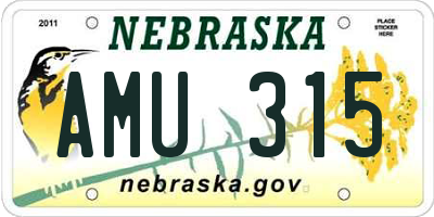 NE license plate AMU315
