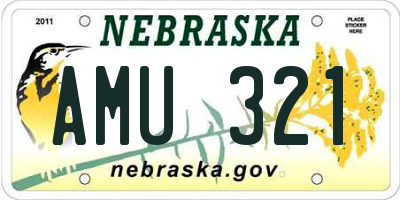 NE license plate AMU321