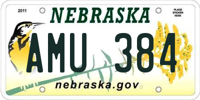 NE license plate AMU384