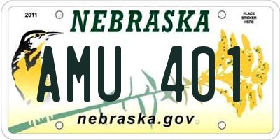 NE license plate AMU401