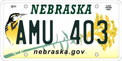 NE license plate AMU403