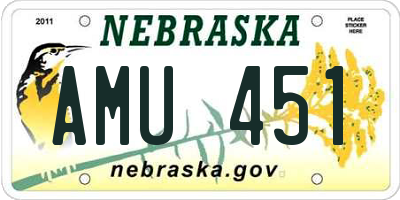 NE license plate AMU451