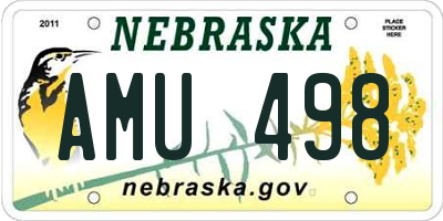 NE license plate AMU498
