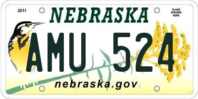 NE license plate AMU524