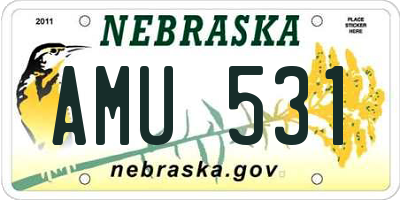 NE license plate AMU531