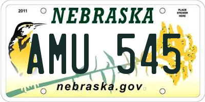 NE license plate AMU545