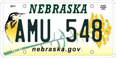 NE license plate AMU548