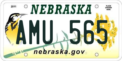 NE license plate AMU565
