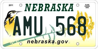 NE license plate AMU568
