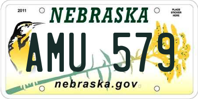 NE license plate AMU579