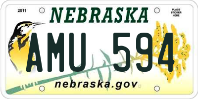 NE license plate AMU594