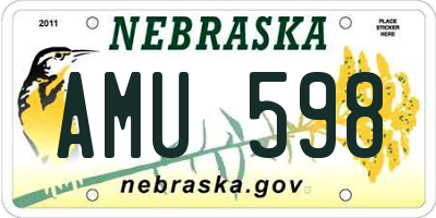 NE license plate AMU598