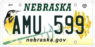 NE license plate AMU599