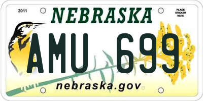 NE license plate AMU699