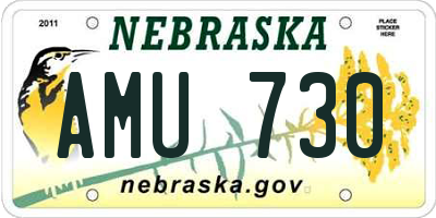 NE license plate AMU730