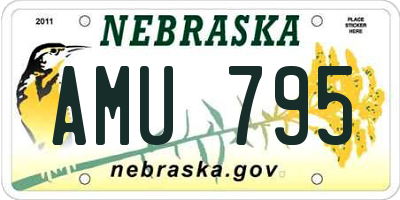 NE license plate AMU795
