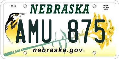 NE license plate AMU875