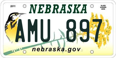 NE license plate AMU897