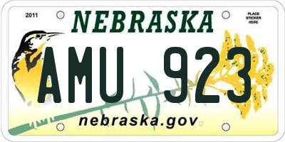 NE license plate AMU923