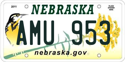 NE license plate AMU953