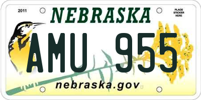 NE license plate AMU955