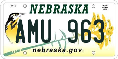NE license plate AMU963