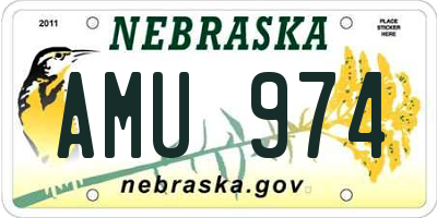 NE license plate AMU974