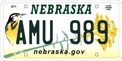 NE license plate AMU989