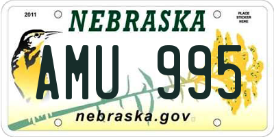 NE license plate AMU995