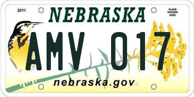 NE license plate AMV017