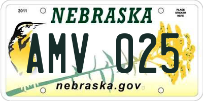 NE license plate AMV025