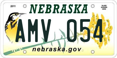 NE license plate AMV054