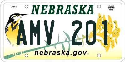 NE license plate AMV201