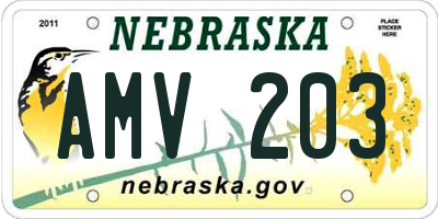 NE license plate AMV203