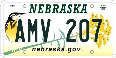 NE license plate AMV207