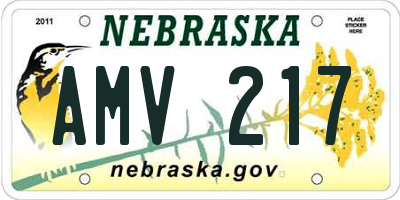 NE license plate AMV217