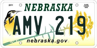 NE license plate AMV219