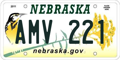 NE license plate AMV221