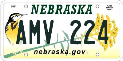 NE license plate AMV224