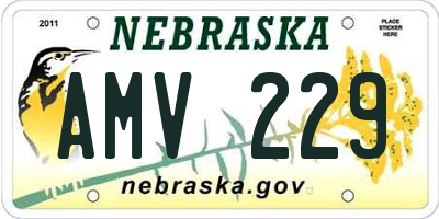 NE license plate AMV229