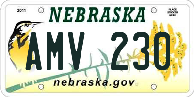 NE license plate AMV230