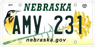 NE license plate AMV231