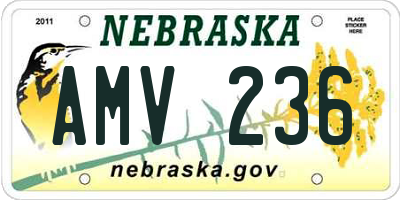 NE license plate AMV236