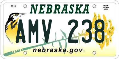 NE license plate AMV238