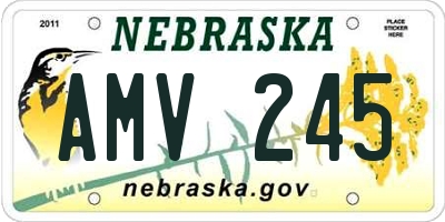 NE license plate AMV245